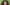 Silvana Estrada announces new album